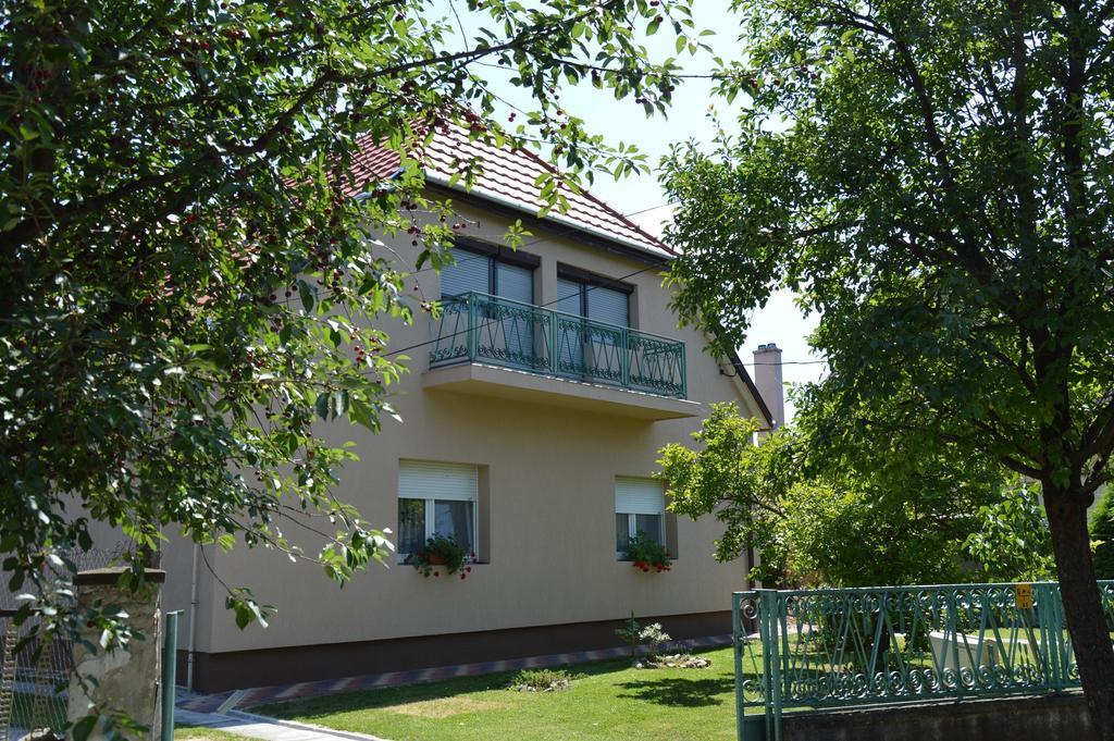 Apartman Aniko Vendeghaz ฮอร์กานี ภายนอก รูปภาพ